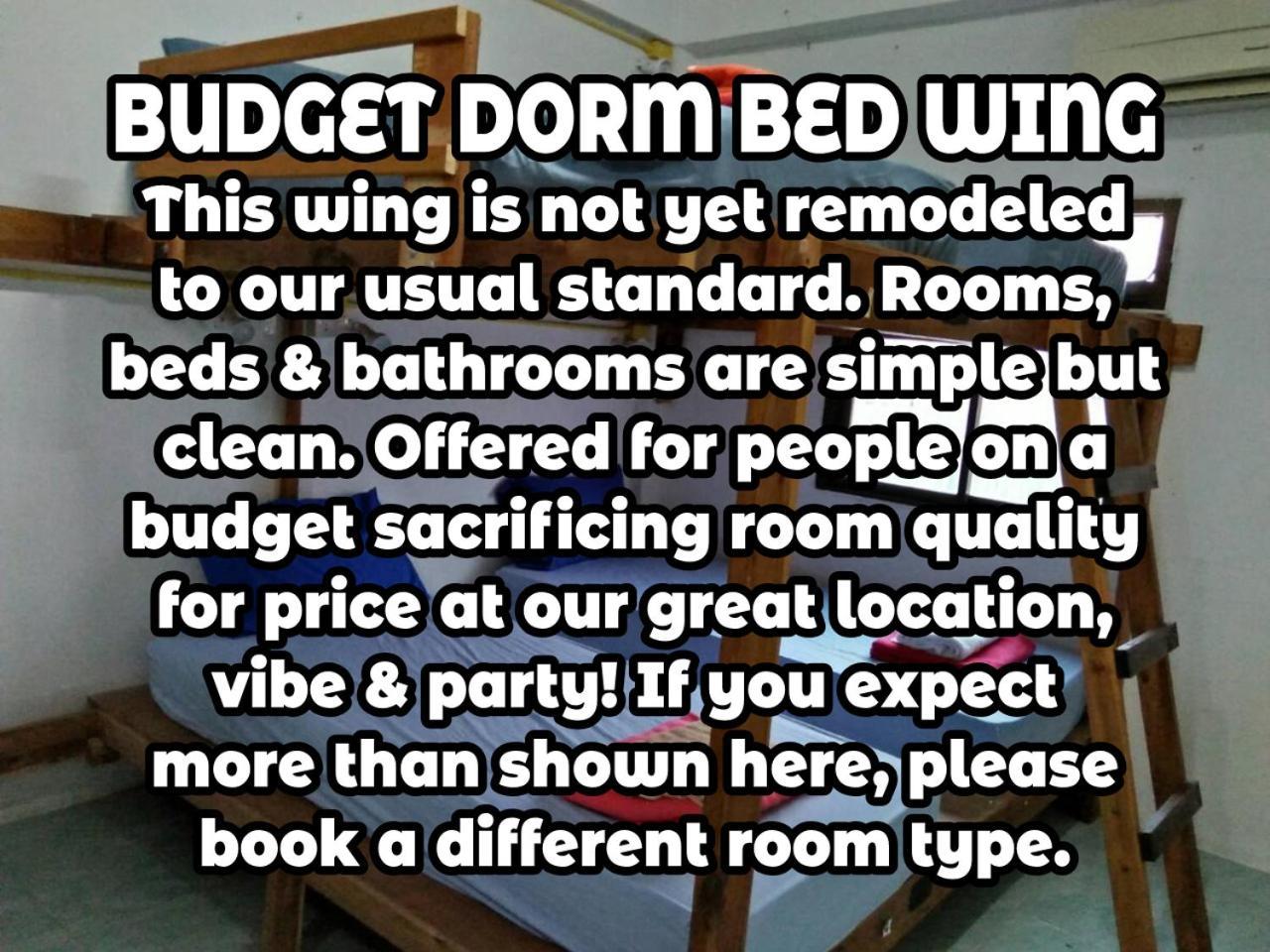 Wild & Wandering Backpacker Hostel & Bar Haad Rin Δωμάτιο φωτογραφία